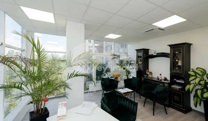 Офис, Старая Почта, СОКОЛЕНЬ