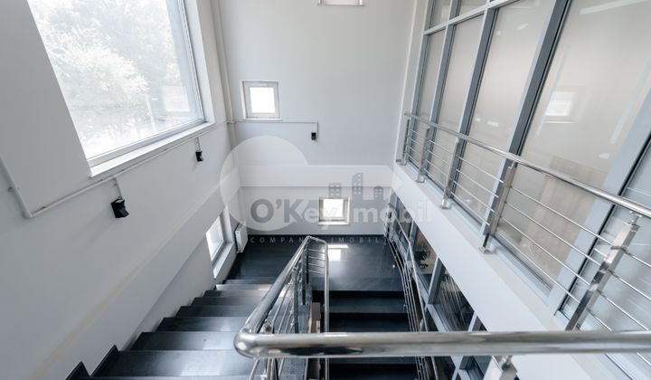 Офис, Центр, АЛЕКСАНДРУ ХЫЖДЕУ