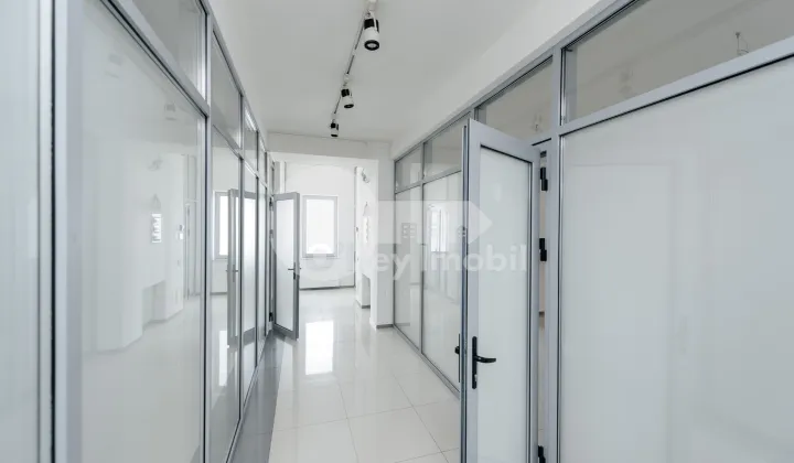 Oficiu, Centru, ALEXANDRU HÂJDEU