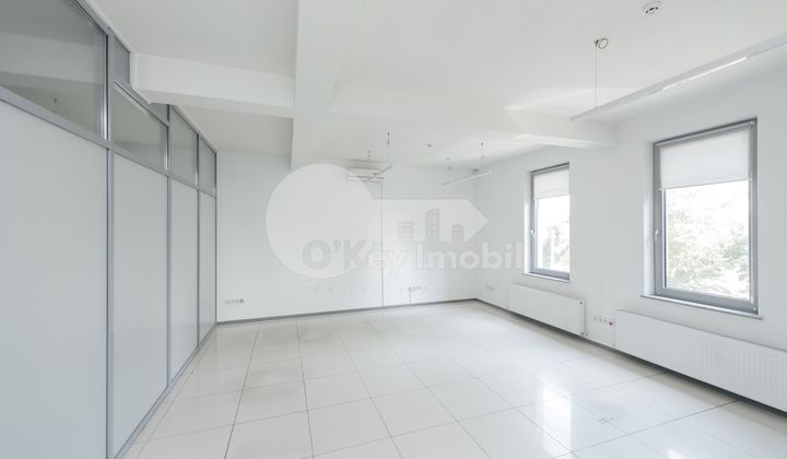 Офис, Центр, АЛЕКСАНДРУ ХЫЖДЕУ