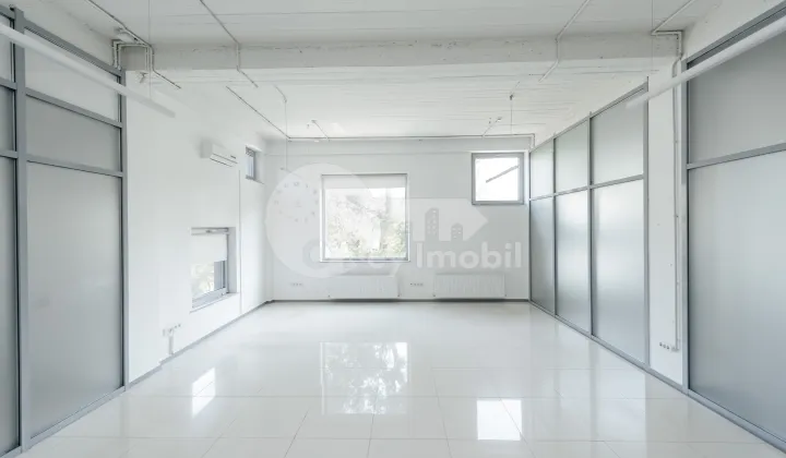 Oficiu, Centru, ALEXANDRU HÂJDEU