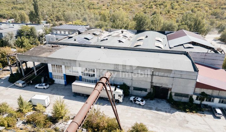 Склад, Чеканы, ИНДУСТРИАЛЭ