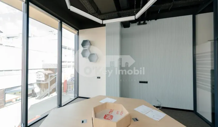 Oficiu, Botanica, CONSTANTIN BRÂNCUȘI