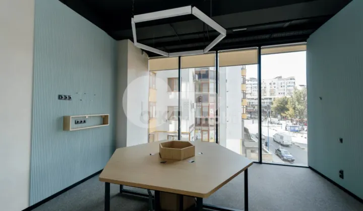 Oficiu, Botanica, CONSTANTIN BRÂNCUȘI