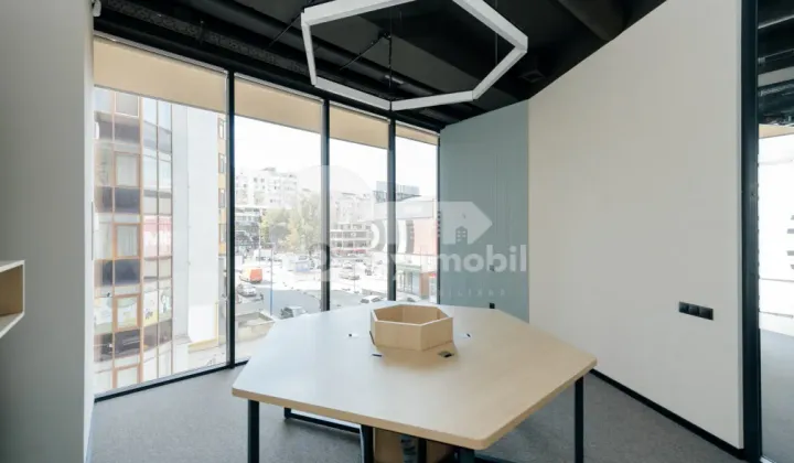 Oficiu, Botanica, CONSTANTIN BRÂNCUȘI