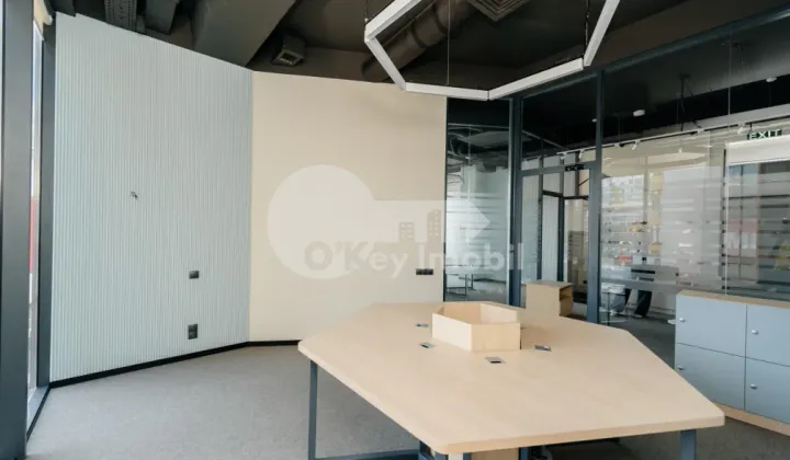 Oficiu, Botanica, CONSTANTIN BRÂNCUȘI