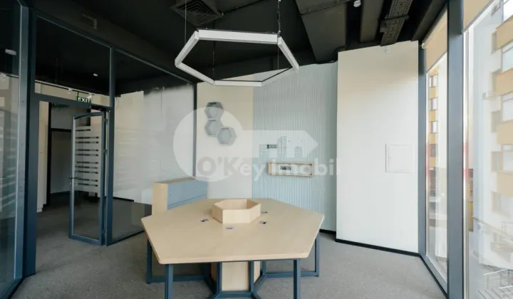 Oficiu, Botanica, CONSTANTIN BRÂNCUȘI