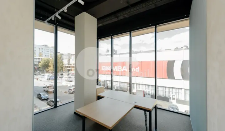 Oficiu, Botanica, CONSTANTIN BRÂNCUȘI