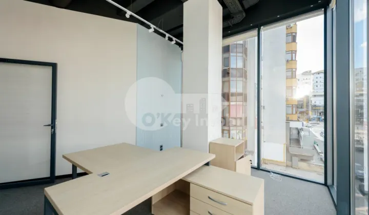 Oficiu, Botanica, CONSTANTIN BRÂNCUȘI