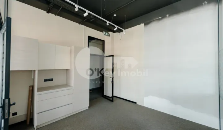 Oficiu, Botanica, CONSTANTIN BRÂNCUȘI