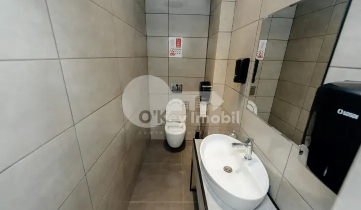 Oficiu, Botanica, CONSTANTIN BRÂNCUȘI