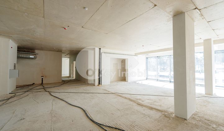 Spațiu Comercial, Buiucani, VASILE LUPU