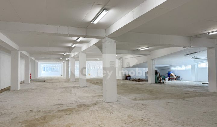 Производственное помещение, Рышкановка, СЕРДЖИУ РЭДЭУЦАНУ