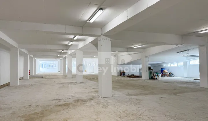 Производственное помещение, Рышкановка, СЕРДЖИУ РЭДЭУЦАНУ