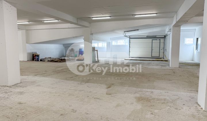 Производственное помещение, Рышкановка, СЕРДЖИУ РЭДЭУЦАНУ