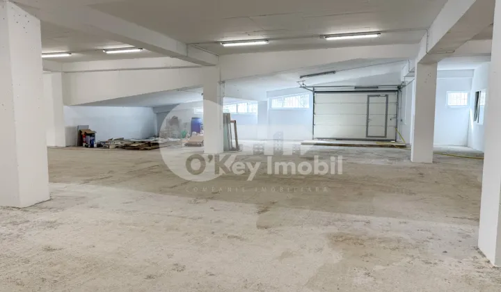 Производственное помещение, Рышкановка, СЕРДЖИУ РЭДЭУЦАНУ