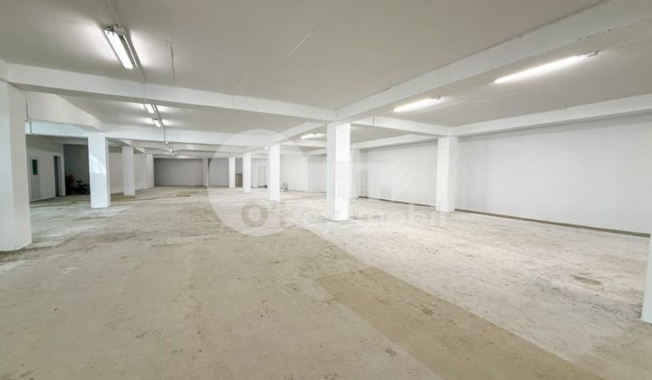 Производственное помещение, Рышкановка, СЕРДЖИУ РЭДЭУЦАНУ