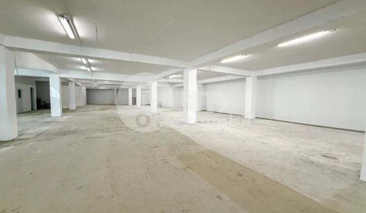 Производственное помещение, Рышкановка, СЕРДЖИУ РЭДЭУЦАНУ