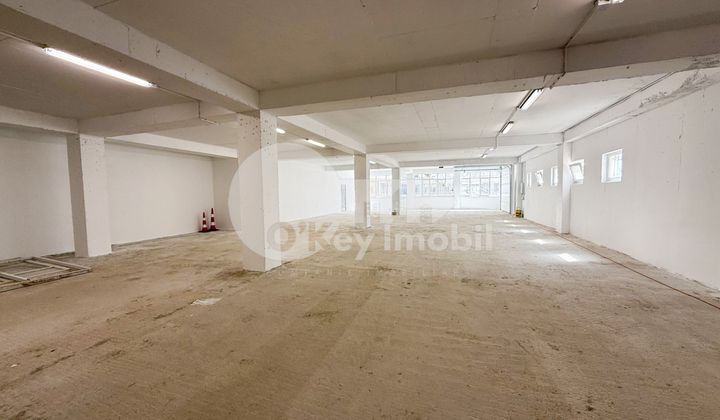 Производственное помещение, Рышкановка, СЕРДЖИУ РЭДЭУЦАНУ