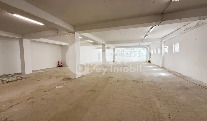 Производственное помещение, Рышкановка, СЕРДЖИУ РЭДЭУЦАНУ