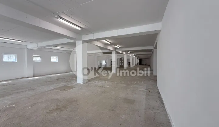 Производственное помещение, Рышкановка, СЕРДЖИУ РЭДЭУЦАНУ