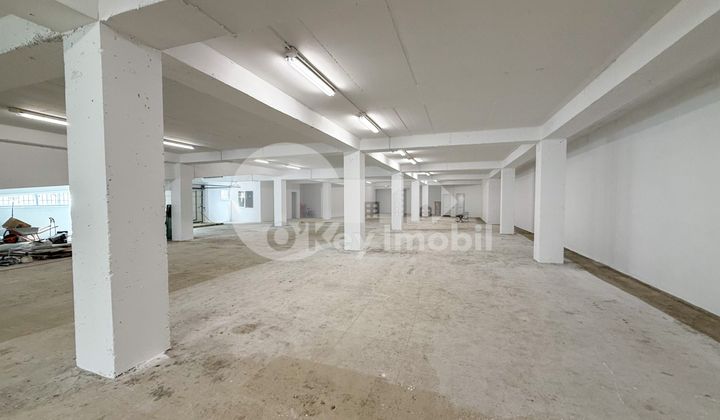 Производственное помещение, Рышкановка, СЕРДЖИУ РЭДЭУЦАНУ