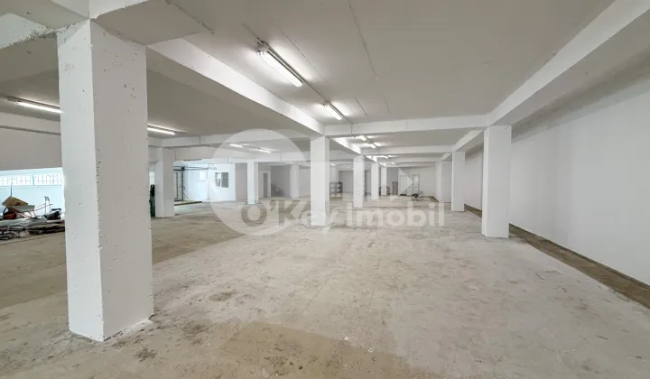 Производственное помещение, Рышкановка, СЕРДЖИУ РЭДЭУЦАНУ