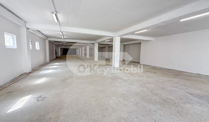 Производственное помещение, Рышкановка, СЕРДЖИУ РЭДЭУЦАНУ