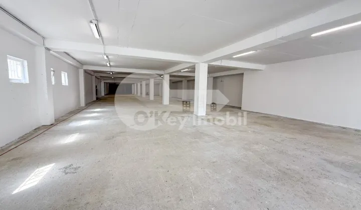 Производственное помещение, Рышкановка, СЕРДЖИУ РЭДЭУЦАНУ