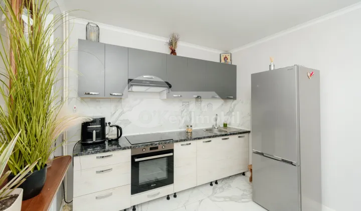 Квартира, Чеканы, МИХАИЛ САДОВЯНУ