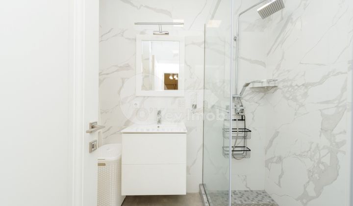 Пентхаус, Ботаника, БУРЕБИСТА