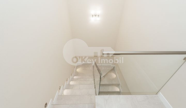 Пентхаус, Ботаника, БУРЕБИСТА