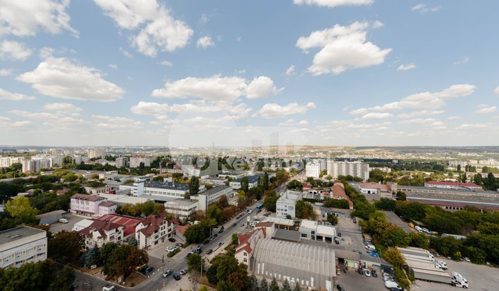 Пентхаус, Ботаника, БУРЕБИСТА