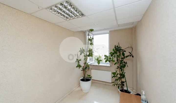 Комм. помещение, Центр, МИТРОПОЛИТ ДОСОФТЕЙ