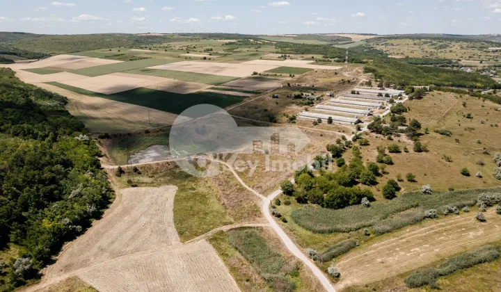 Земельный участок, БУДЕШТЫ