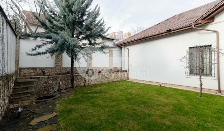 Casă, Buiucani, PRIMĂVERII