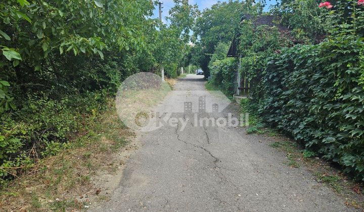 Квартира, ДУМБРАВА