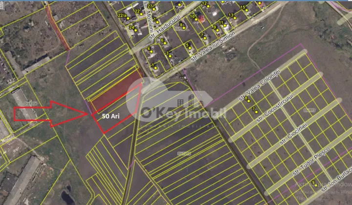 Земельный участок, КОЛОНИЦА