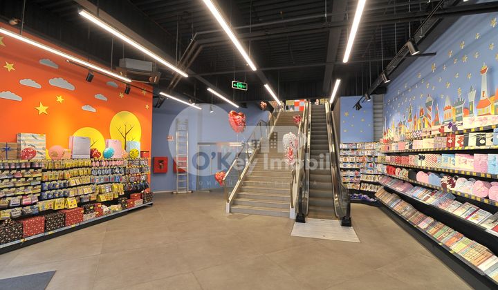 Sp. Comercial, Centru, D. CANTEMIR