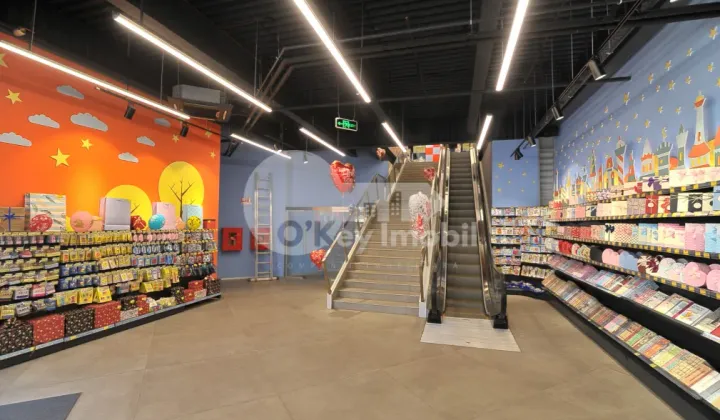 Sp. Comercial, Centru, D. CANTEMIR