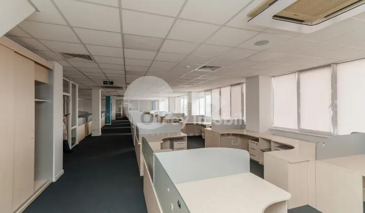 Офис — ул. Каля Ешилор — Буюканы