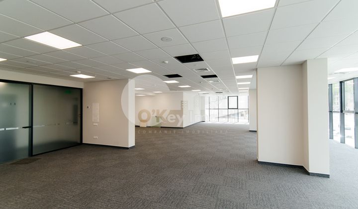 Офис, Центр, МИХАЙ ВИТЯЗУЛ