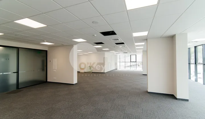 Oficiu, Centru, MIHAI VITEAZU