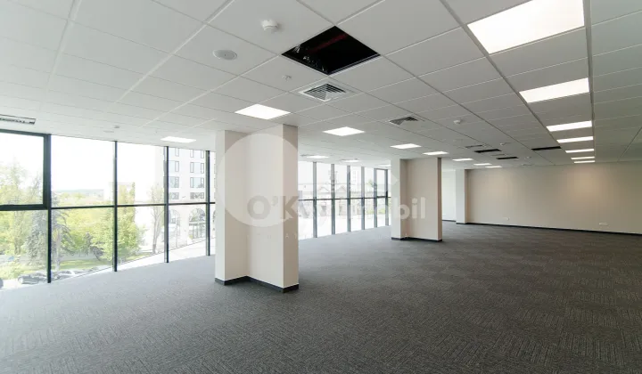 Oficiu, Centru, MIHAI VITEAZU