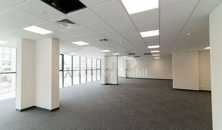 Офис, Центр, МИХАЙ ВИТЯЗУЛ