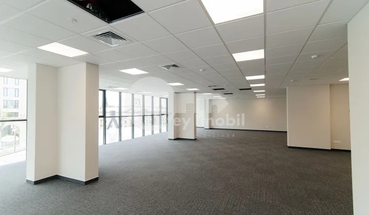 Oficiu, Centru, MIHAI VITEAZU