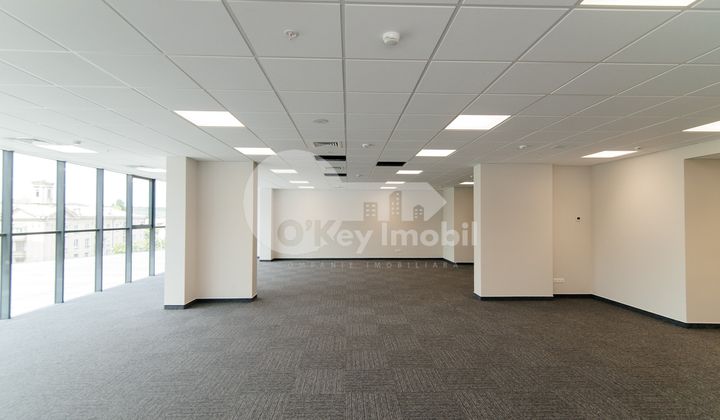 Офис, Центр, МИХАЙ ВИТЯЗУЛ