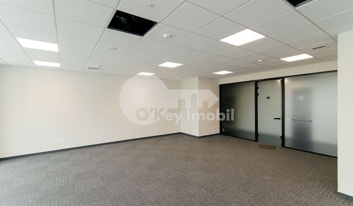 Офис, Центр, МИХАЙ ВИТЯЗУЛ