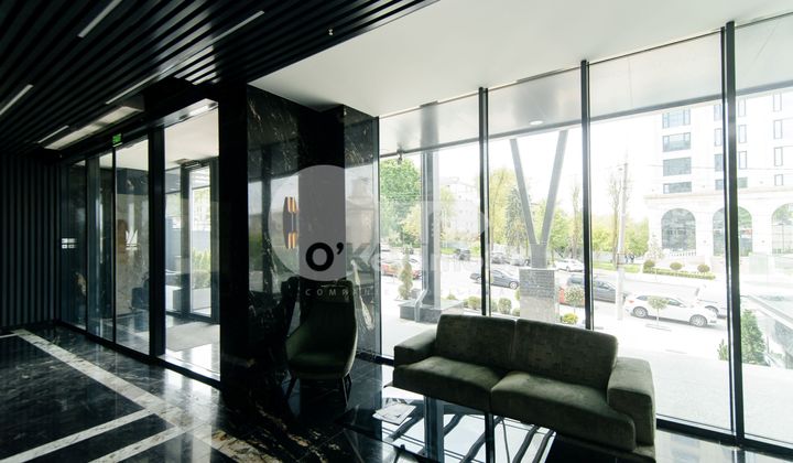 Офис, Центр, МИХАЙ ВИТЯЗУЛ