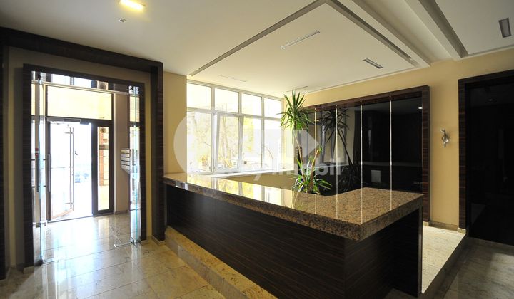 Квартира, Центр, Алексей Матеевич